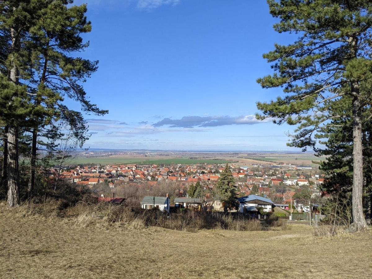 Holiday Home On The Mountain With Views Ballenstedt Esterno foto