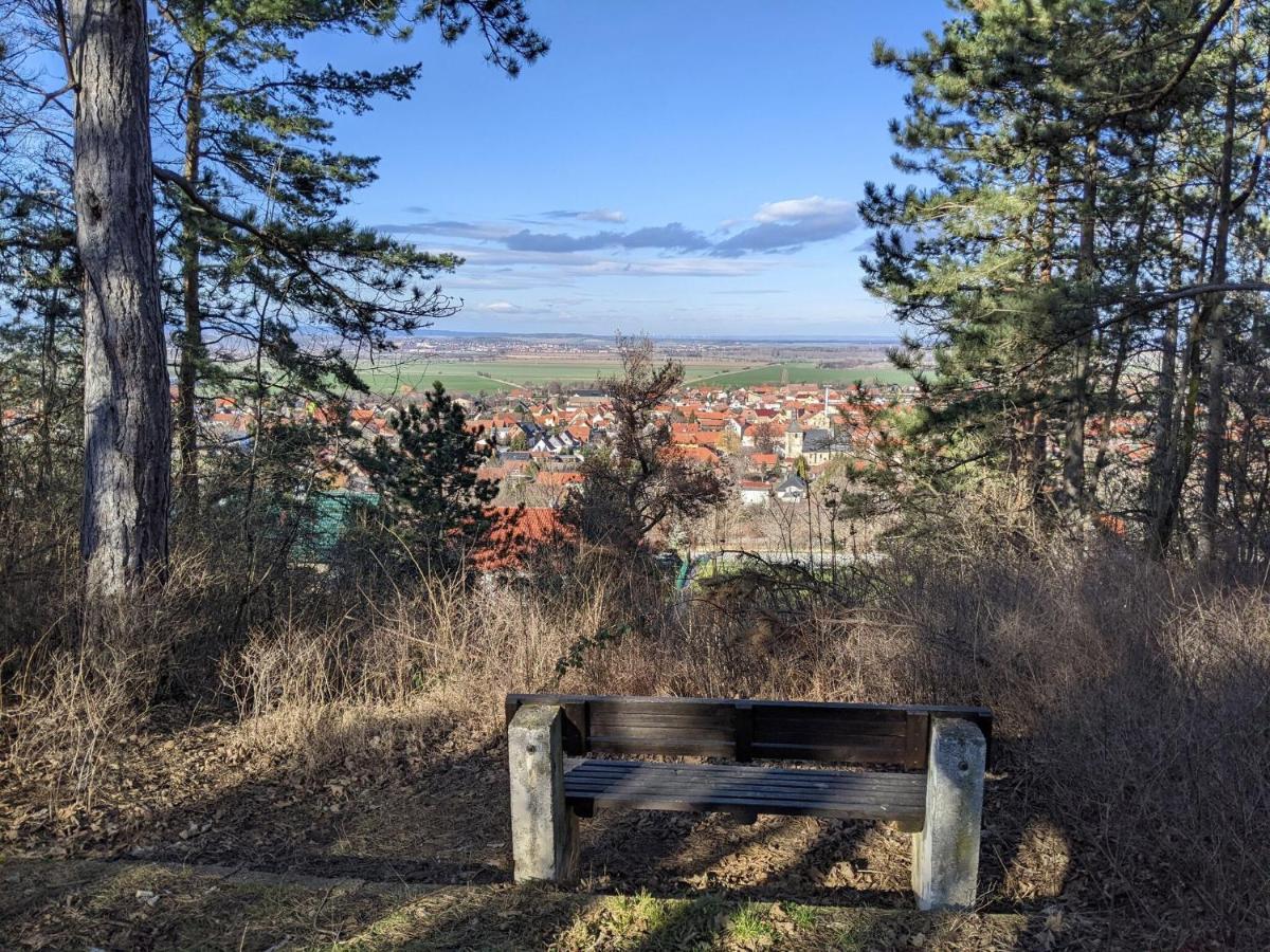 Holiday Home On The Mountain With Views Ballenstedt Esterno foto